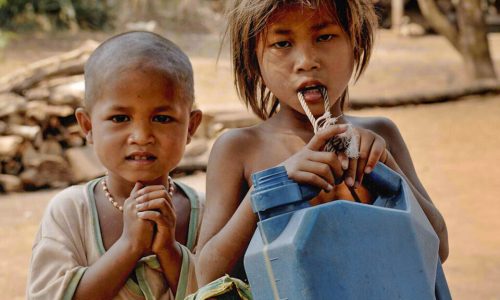 home_charity2_blog2-960x750